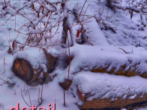winter park hdr 3D Модель