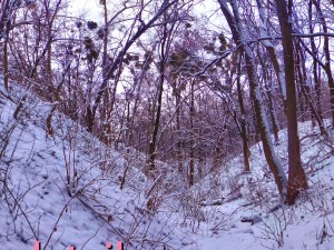 winter park hdr 3D Модель