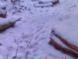 winter park hdr CG Textures
