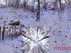 park hdr 3d j u i k hy 3D मॉडल