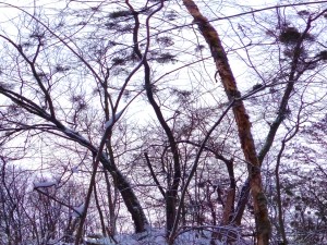 park hdr 3d j u i k hy 3D मॉडल