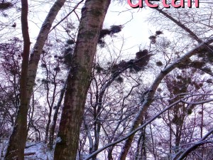 park hdr 3d j u i k hy 3D मॉडल