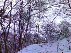 park hdr 3d j u i k hy 3D मॉडल