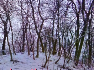 park hdr 3d j u i k hy 3D मॉडल