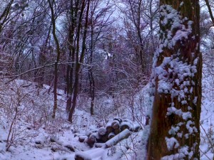 park hdr 3d j u i k hy 3D मॉडल
