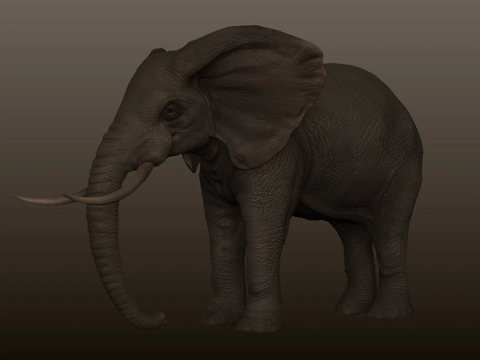 elephant 3D Model .c4d .max .obj .3ds .fbx .stl .blend 
