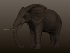 elephant Model 3D