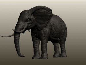 elephant 3D 模型