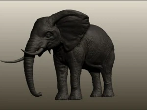 elephant 3D Model