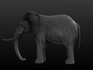 elephant 3D 模型