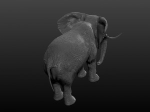elephant 3D 模型
