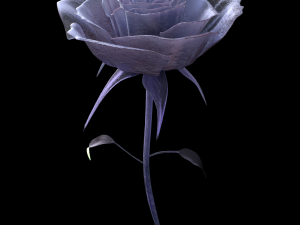 ice rose Modèle 3D