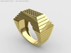 ring 3D Model