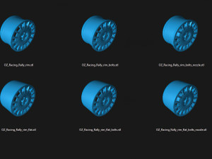 OZ Racing Rally rim printable model 3D Print Model
