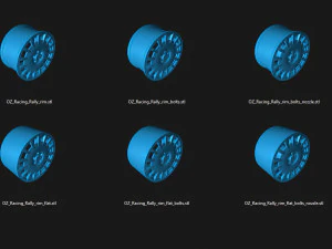 OZ Racing Rally rim printable model 3D Print Model