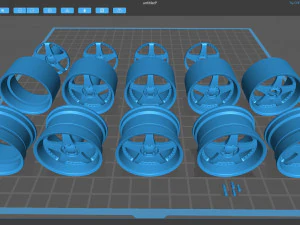 Work Vs-Zf Rim 3D Print Model
