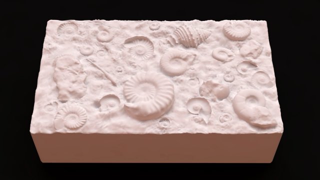 Fossil Shells Mould 3D Принт Модель .c4d .max .obj .3ds .fbx .stl .blend 