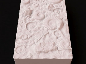 Fossil Shells Mould 3D Принт Модель