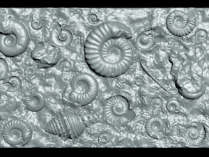 Fossil Shells Mould 3D Принт Модель
