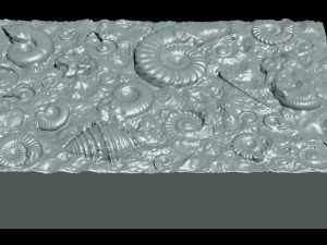 Fossil Shells Mould 3D Принт Модель