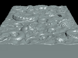 Fossil Shells Mould 3D Принт Модель
