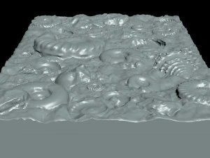 Fossil Shells Mould 3D Print Model