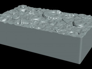 Fossil Shells Mould 3D Принт Модель