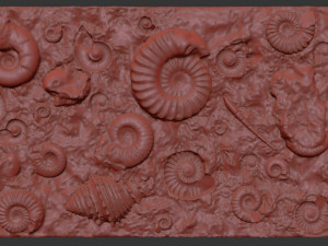 Fossil Shells Mould 3D Принт Модель