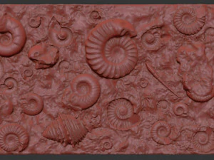 Fossil Shells Mould 3D Print Model