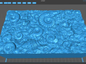 Fossil Shells Mould 3D Print Model