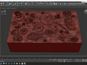 Fossil Shells Mould 3D Print Model