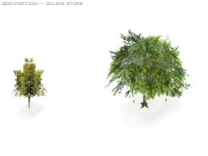 trees 3D Модель