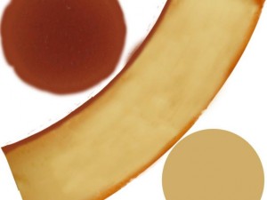 creme caramel pudding 3D-Modell