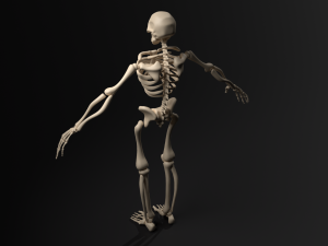 Skeleton Modello 3D
