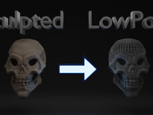 Skeleton 3D Model