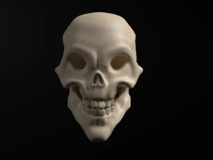Skeleton 3D Model