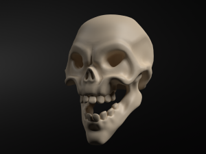 Skeleton Modello 3D