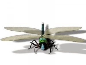 anax imperator dragonfly 3D Model