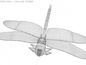 anax imperator dragonfly 3D Model