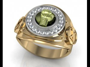 ring champion 3D Model