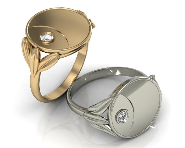 ring coin 3D Model .c4d .max .obj .3ds .fbx .stl .blend 