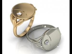 ring coin Modèle 3D