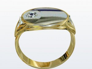 ring coin 3D Model