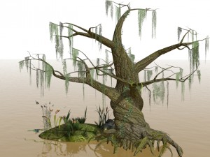 swamp assets Model 3D
