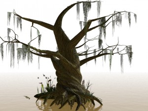 swamp assets Modello 3D