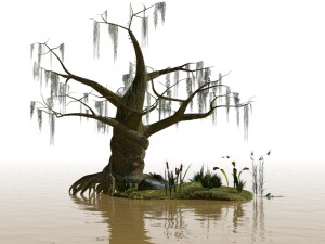 swamp assets Modello 3D