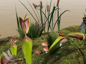 swamp assets Modello 3D