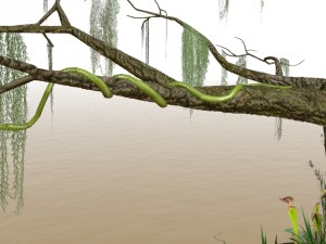 swamp assets Modello 3D