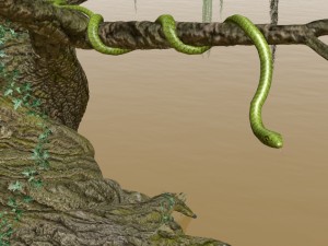 swamp assets Modello 3D