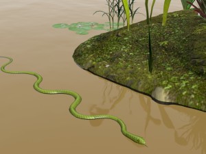 swamp assets Modello 3D
